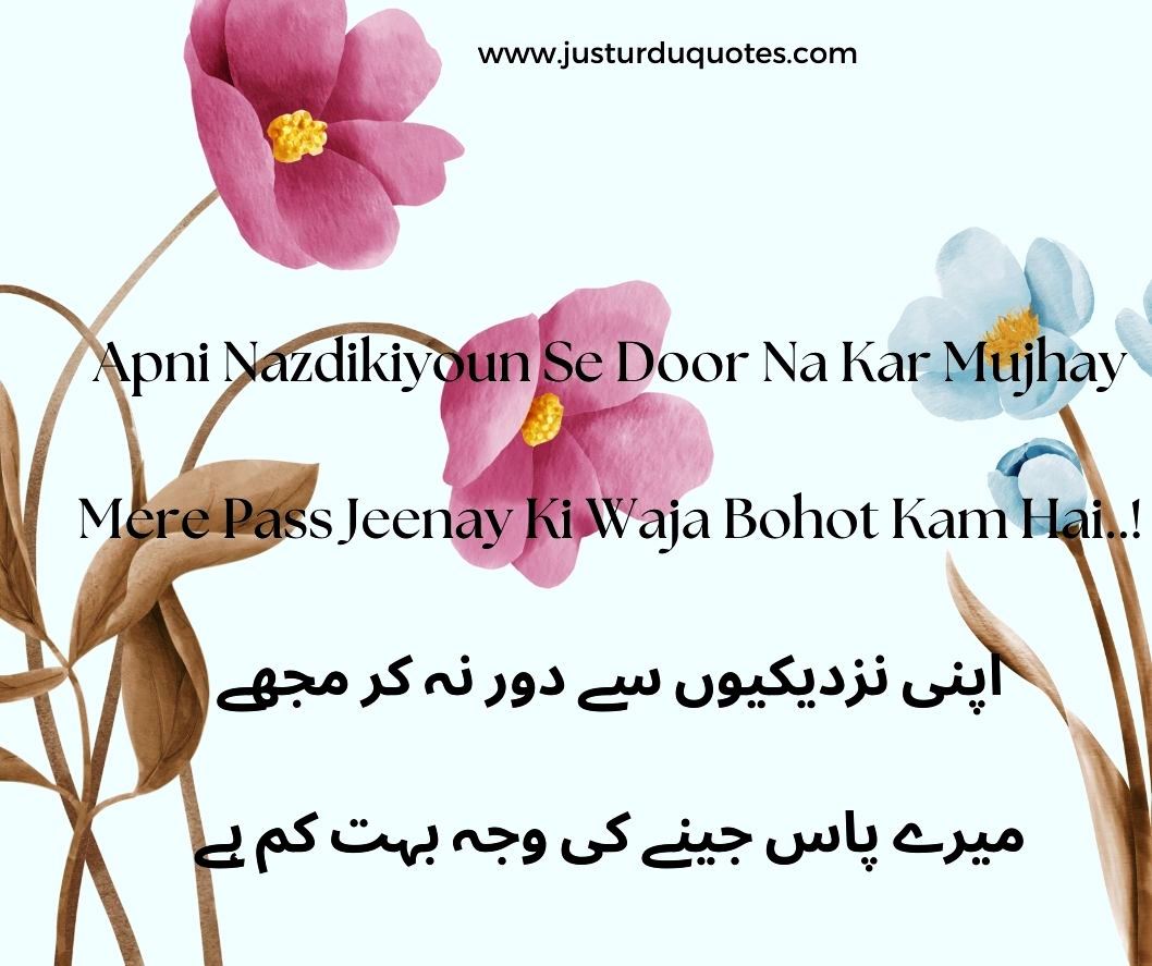 Top 50 best romantic quotes and poetry in Urdu