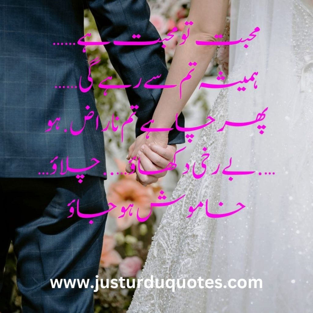 The Famous Urdu Love Shayari for Your Partner